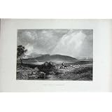 バトルフィールドの Sheriffmuir 戦争のヒツジの木山を見て下さい