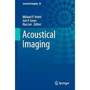 4113rU8sZaL. SL500 AA300  Acoustical Imaging: Volume 30