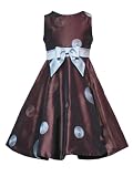 Rare Editions Girls 7-16 BROWN TURQUOISE-BLUE EMBROIDERED BIG DOT SHANTUNG Special Occasion Wedding Flower Girl Party Dress