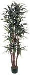 Dracaena Silk Tree 6 1 / 2 ft - B001DQB2S4