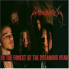 In the Forest of the Dreaming Dead
