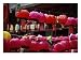 Buddhist Temple, Buddha's Birthday, Korea Religion & Philosophy Photographic Poster Print by Craig J. Brown, 32x24