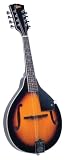 Rover RM-25 Student Series A Model Mandolin (Maple Top)