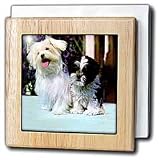 Dogs Maltese - Maltese - Tile Napkin Holders