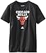 NBA Chicago Bulls Primary Logo T-Shirt