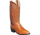 Dan Post Boots Men's Eel Cowboy Boots