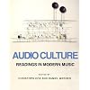 Audio Culture: Readings in Modern Music