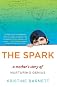 The Spark