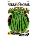 Ferry-Morse 401 Blue Lake Bush Geen Beans 274 Large 84 Gram Seed Packet