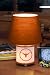 NCAA Texas Longhorns Dual Lit Accent Lamp