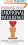 Working with Emotional Intelligence