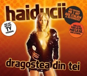 Haiducii - Dragostea Din Tei (Haiducii Vs. Gabry Ponte Radio Version) Lyrics - Zortam Music