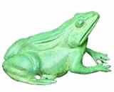 Zoobox ZF-0201F Water Gardening Ribbed Frog Verdi Large