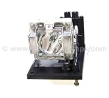 Genuine ALTM 610-335-8406 / POA-LMP117 Lamp & Housing for Sanyo Projectors - 180 Day Warranty!!