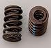 Crane 144832-16 LS-1 Dual Valve Spring - Set of 16