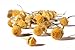 Numi Organic Tea Chamomile Lemon, 16 Ounce Pouch, Loose Leaf Herbal Teasan, 200+ Cups, Packaging May Vary