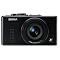 Professional Point and Shoot Camera