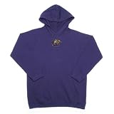 LSU Tigers NCAA JV Youth Pullover Hooded Sweatshirt For Kids (Dark Purple)
