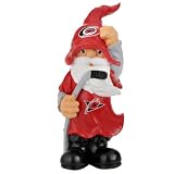 NHL Carolina Hurricanes Team Thematic Gnome