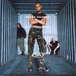 Paranoid and Sunburnt [VINYL]