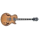 Ibanez AGS83B