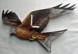 hawk kite