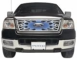 Putco 89341 Four-Color Flaming Inferno Style Grille Insert