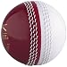 Slazenger Cricket Training Ball