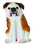 Bulldog Thermometer