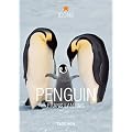 Pinguin