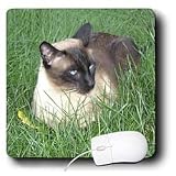image link - - B002TDO96M