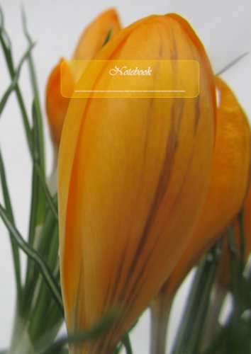 edition cumulus Fr&uuml;hling - Notebook: Notizbuch, DIN A4, liniert