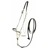 Halter Arabian Scalloped nose cable Show Halter with Lead