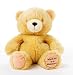 Forever Friends Microwavable Teddy Bear Warmer 36cm