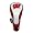 Wisconsin Badgers