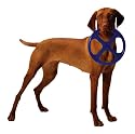 Omega Paw Orbit Flying Disk, Blue
