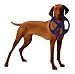 Omega Paw Orbit Flying Disk, Blue
