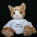 Search : Plush Stuffed Cat (Kit Kat) toy with Happy Flag day t-shirt