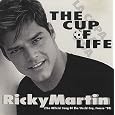 Big Save Cup of Life (6 mixes)