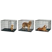 Midwest Life Stages Single-Door Folding Metal Dog Crate, 42"L x 28"W x 31"H