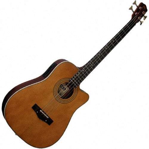 Johnson AXL Acoustic Electric Bass