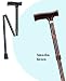 Folding Cane - Amoeba Green