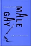 Gay Male Pornography: An Issue Of Sex Discrimination (Law & Society)