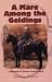 A Mare Among The Geldings
