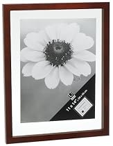 Umbra Document 11X14-Inch Frame, Walnut