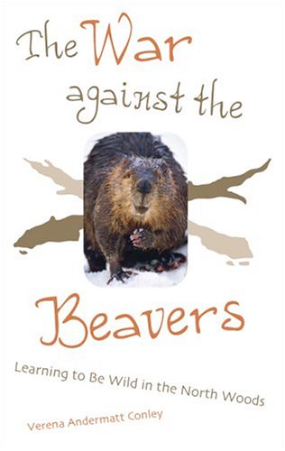 beavers in the wild
