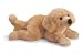 golden retriever - Yowser dog
