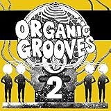 Organic Grooves 2 (UK Import) - Sasha Crnobrnja