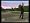 Tiger Woods PGA Tour 2006 (Xbox)