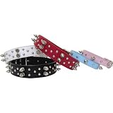 Fou Fou Dog CSN0-Collar Spike Dog Collar